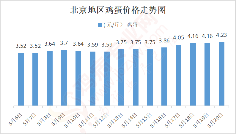 少年包工头