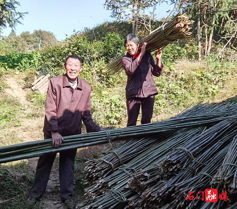 山东母子情深传佳话，感人故事续写新篇章