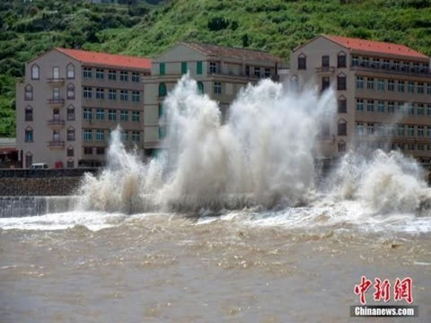 杭州夏日风情：台风动态温馨播报