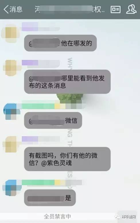 杨鸿邮币集藏新动态：河北收藏家分享喜悦瞬间