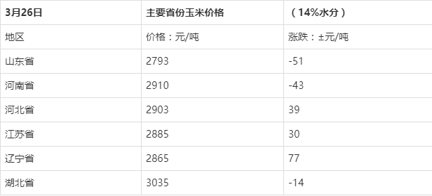 最新玉米采购价动态