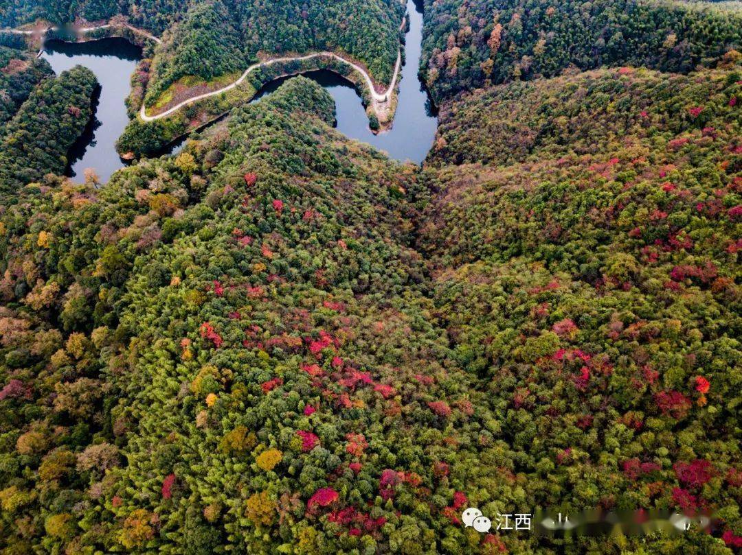 官山大小最新动态，全面更新资讯速览